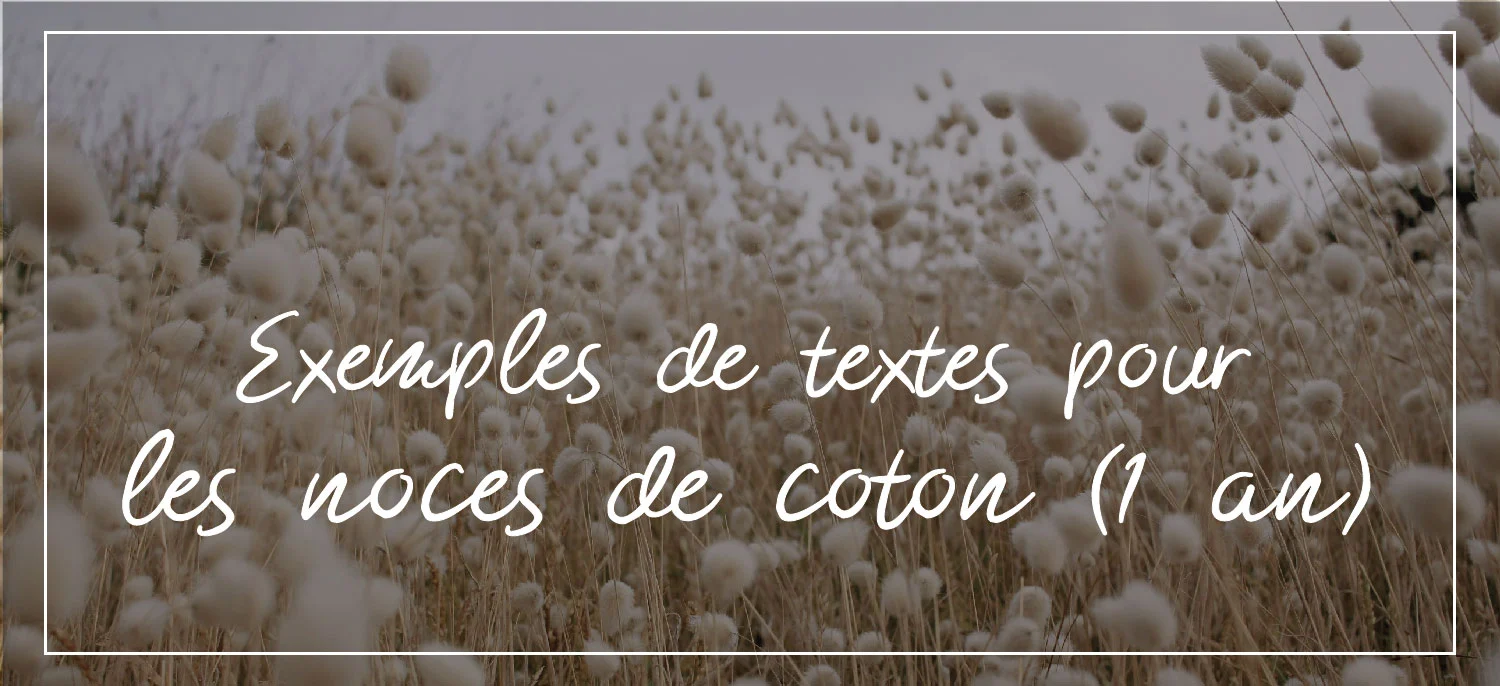 T-Shirt "1 An De Mariage - Niveau 1 Débloqué" - Cadeau Romantique Pour Couple, Coton Doux, Coupe Classique